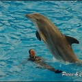 Marineland - Dauphins - Spectacle 17h00 - 121