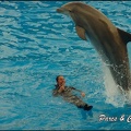 Marineland - Dauphins - Spectacle 17h00 - 122