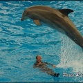 Marineland - Dauphins - Spectacle 17h00 - 123