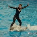 Marineland - Dauphins - Spectacle 17h00 - 133