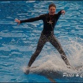 Marineland - Dauphins - Spectacle 17h00 - 134