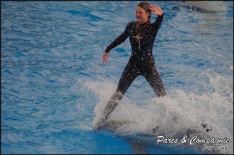Marineland - Dauphins - Spectacle 17h00 - 135