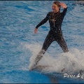 Marineland - Dauphins - Spectacle 17h00 - 135