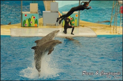 Marineland - Dauphins - Spectacle 17h00 - 136