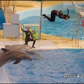 Marineland - Dauphins - Spectacle 17h00 - 137