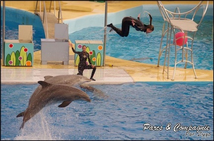 Marineland - Dauphins - Spectacle 17h00 - 137