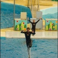 Marineland - Dauphins - Spectacle 17h00 - 140