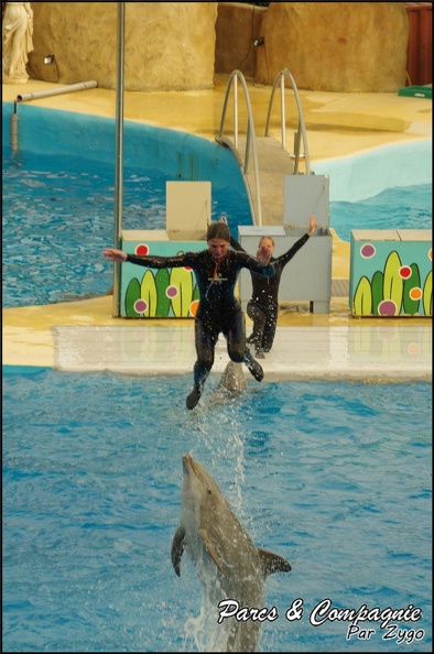 Marineland - Dauphins - Spectacle 17h00 - 141