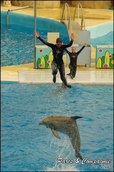 Marineland - Dauphins - Spectacle 17h00 - 142