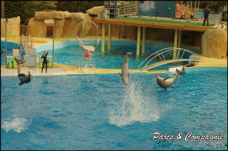 Marineland - Dauphins - Spectacle 17h00 - 143