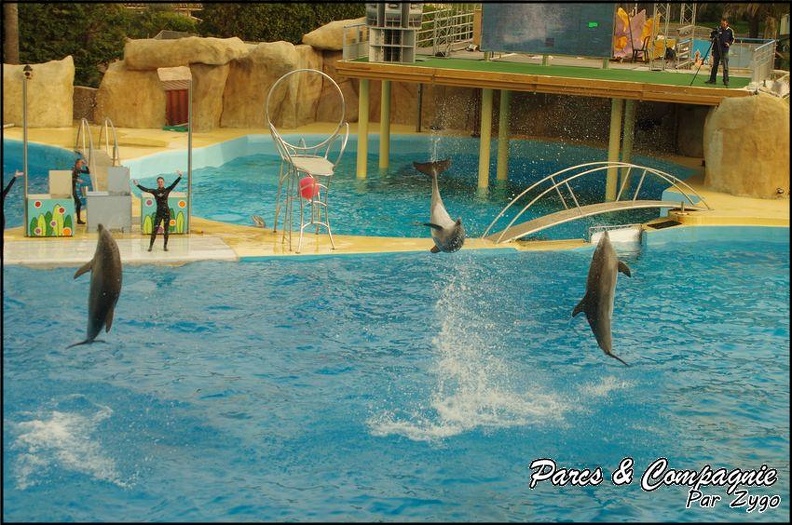 Marineland - Dauphins - Spectacle 17h00 - 144