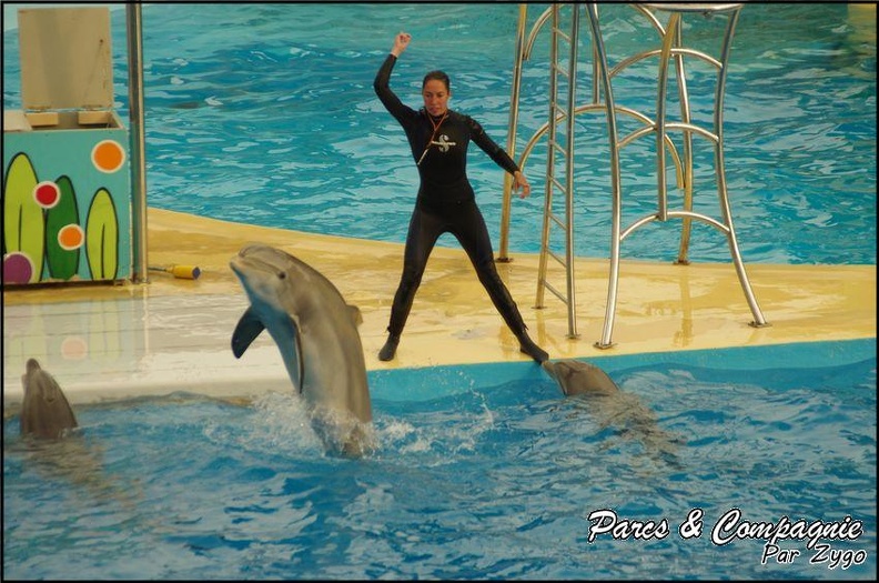 Marineland - Dauphins - Spectacle 17h00 - 145