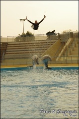Marineland - Dauphins - Spectacle 17h00 - 160