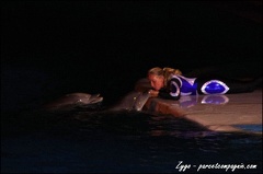 Marineland - Dauphins - Spectacle nocturne - 053