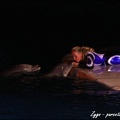 Marineland - Dauphins - Spectacle nocturne - 053