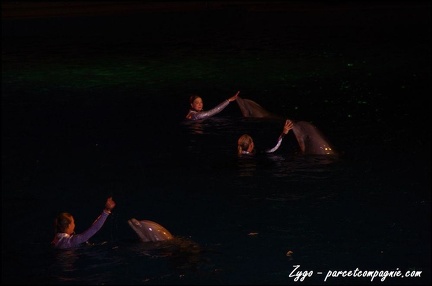 Marineland - Dauphins - Spectacle nocturne - 055