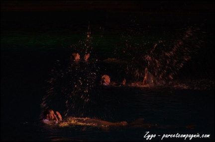 Marineland - Dauphins - Spectacle nocturne - 056