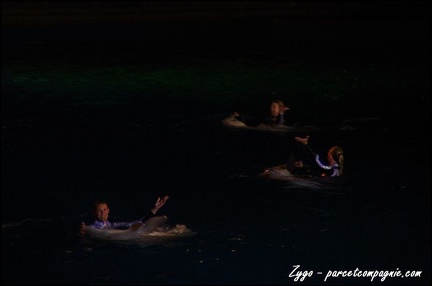 Marineland - Dauphins - Spectacle nocturne - 057