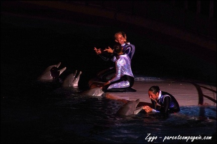 Marineland - Dauphins - Spectacle nocturne - 058