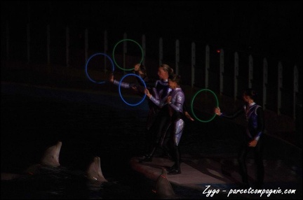 Marineland - Dauphins - Spectacle nocturne - 060
