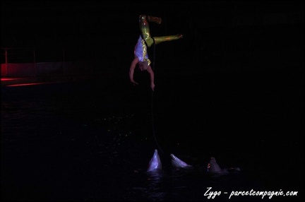Marineland - Dauphins - Spectacle nocturne - 066