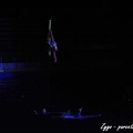 Marineland - Dauphins - Spectacle nocturne - 068