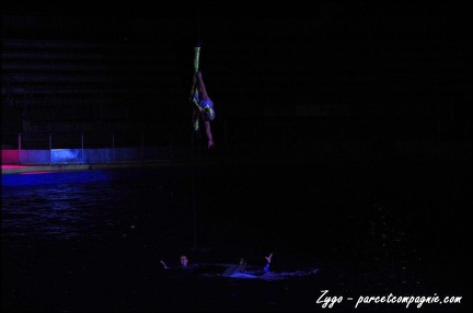 Marineland - Dauphins - Spectacle nocturne - 068