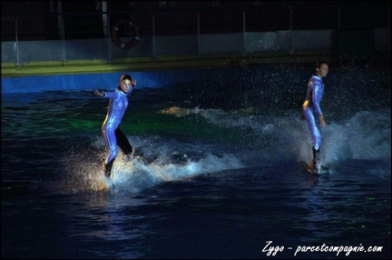 Marineland - Dauphins - Spectacle nocturne - 072