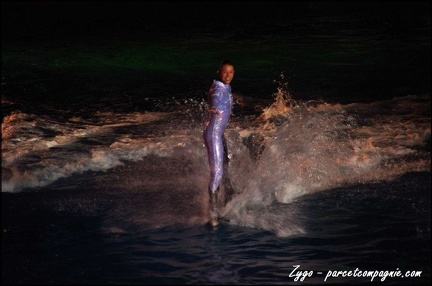 Marineland - Dauphins - Spectacle nocturne - 073