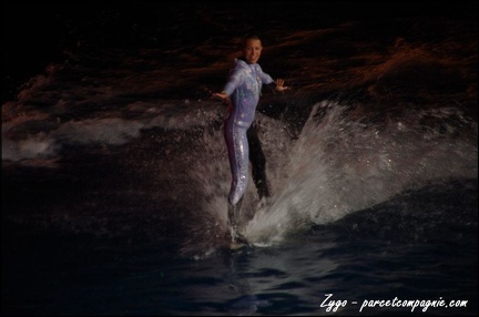 Marineland - Dauphins - Spectacle nocturne - 074