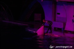 Marineland - Orques - Spectacle nocturne - 204