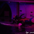 Marineland - Orques - Spectacle nocturne - 207