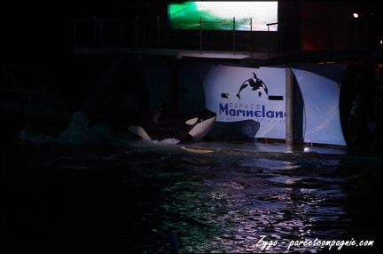 Marineland - Orques - Spectacle nocturne - 212