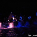 Marineland - Orques - Spectacle nocturne - 228