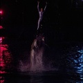 Marineland - Dauphins - Spectacle Nocturne - 211