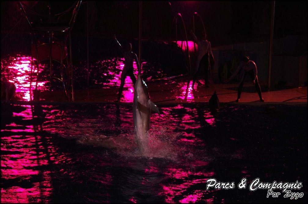Marineland - Dauphins - Spectacle Nocturne - 213