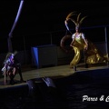 Marineland - Dauphins - Spectacle Nocturne - 216