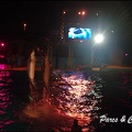 Marineland - Dauphins - Spectacle Nocturne - 221