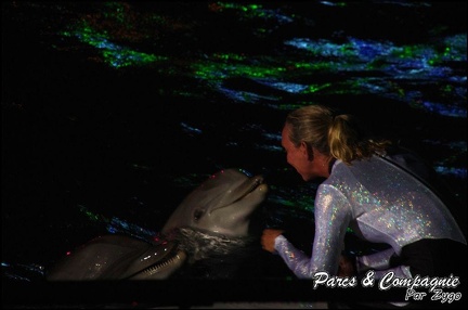 Marineland - Dauphins - Spectacle Nocturne - 223