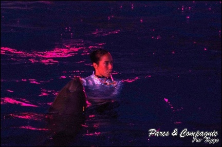 Marineland - Dauphins - Spectacle Nocturne - 226