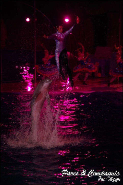 Marineland - Dauphins - Spectacle Nocturne - 235