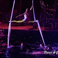 Marineland - Dauphins - Spectacle Nocturne - 248
