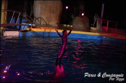 Marineland - Dauphins - Spectacle Nocturne - 249