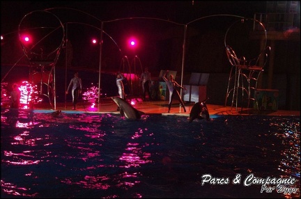 Marineland - Dauphins - Spectacle Nocturne - 252