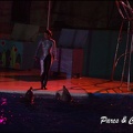 Marineland - Dauphins - Spectacle Nocturne - 253