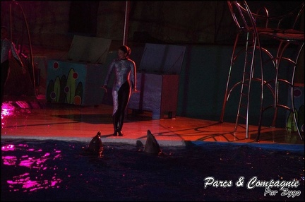 Marineland - Dauphins - Spectacle Nocturne - 253
