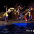Marineland - Dauphins - Spectacle Nocturne - 254
