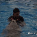 Marineland - Dauphins - Spectacle 17h15 - 038
