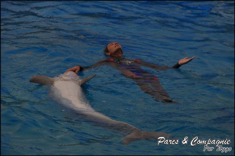 Marineland - Dauphins - Spectacle 17h15 - 039