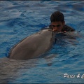 Marineland - Dauphins - Spectacle 17h15 - 042